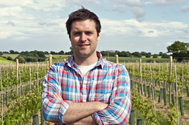From grape to glass: Help craft the wine of your dreams buff.ly/1NzS0lC <a href="/grape_escape/">Eamon FitzGerald</a> #englishwineweek