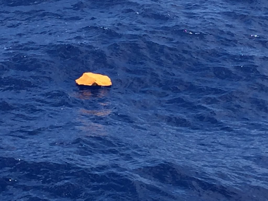 Voir l'image sur Twitter