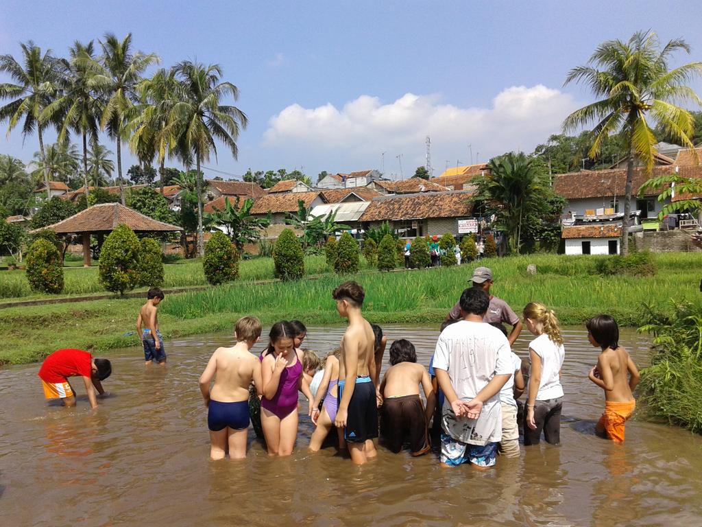 cinangneng's tweet photo. Tidak merasa takut dan jijik mereka enjoy belajar menanam padi,memandikan kerbau dan berinteraksi dgn penduduk desa https://t.co/5Zd9FMPJsK