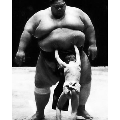 ToriSumo's tweet photo. This is TORISUMO david vs goliath! #sumo #sumofun #fun #funpic https://t.co/2yM7j00PuR
