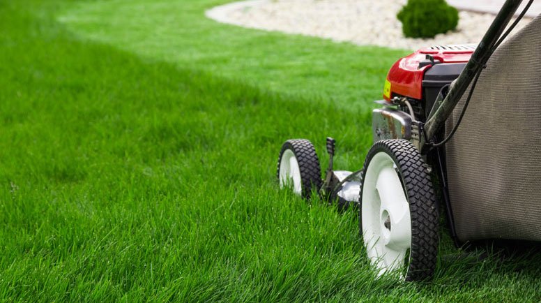 Renov8landscape's tweet photo. 11 Tips for More Effective Mowing https://t.co/u63gKXRqzv https://t.co/CNgjXAOVxz