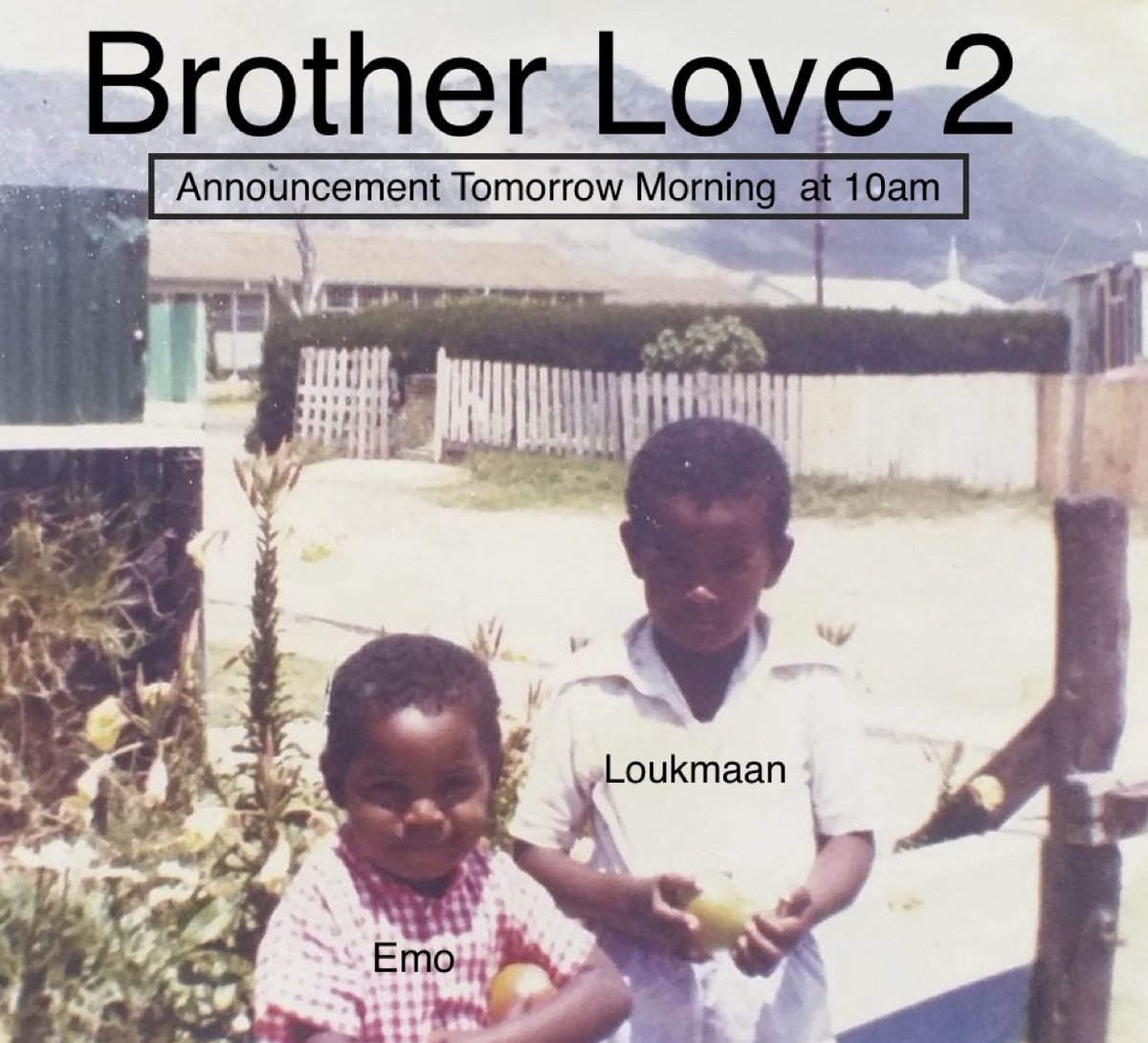 BROTHER LOVE FANS