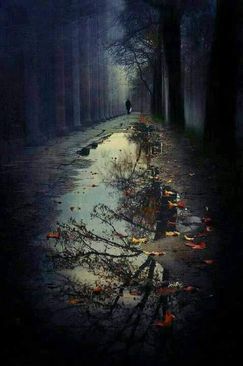 علاء حسين النجفي (@kufa297) on Twitter photo 