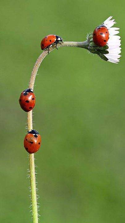 alp11kartal's tweet photo. https://t.co/y2EezYTuol