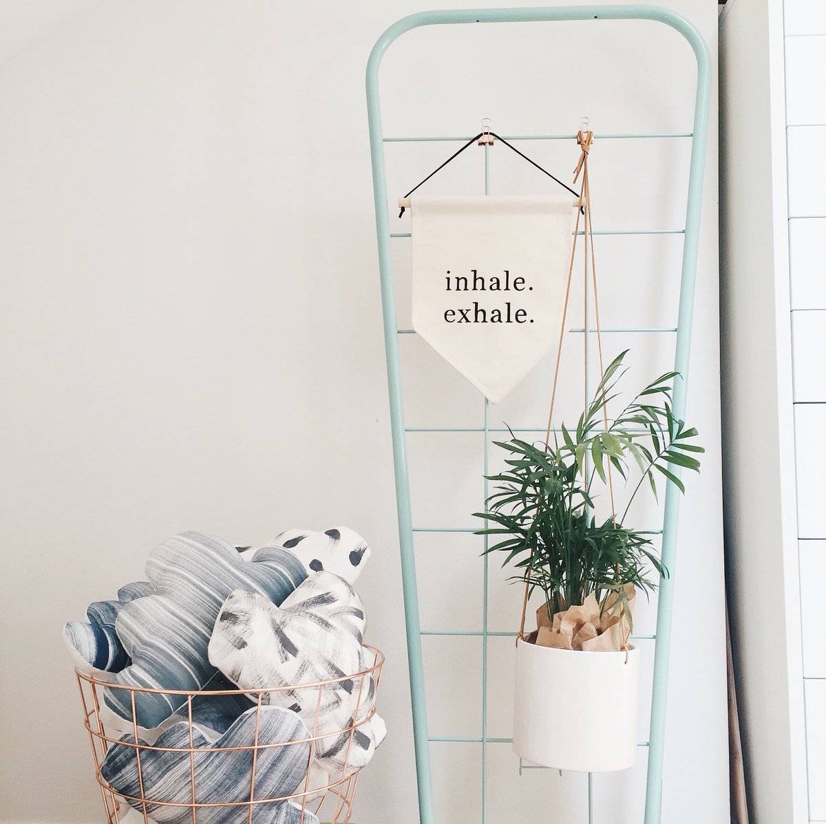 Darwin & Gray tweet media