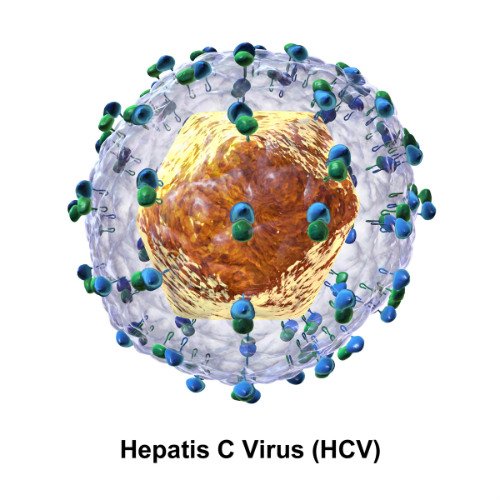 MDAlertSTAT's tweet photo. Hepatitis C virus (HCV) most lethal infectious disease. Mortality at All-Time High. https://t.co/glgXnmF491 #HepC https://t.co/cuumu7Fihc