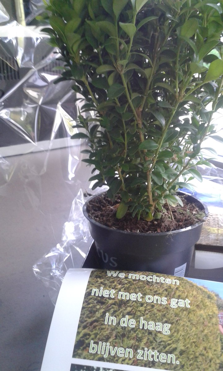 Van dromen nr realiteit in Sint-Paulus SDW #samenschoolbouwen #gatuitdehaag #flanderssynergy <a href="/zotvanwerk/">Tom Van Acker</a> #topgedaan!