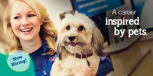Scooter2323's tweet photo. #2329 #Merchinventoryleader #callMilsboroPetSmart #Areyouinspiredbypets https://t.co/xIyHNgx2gx