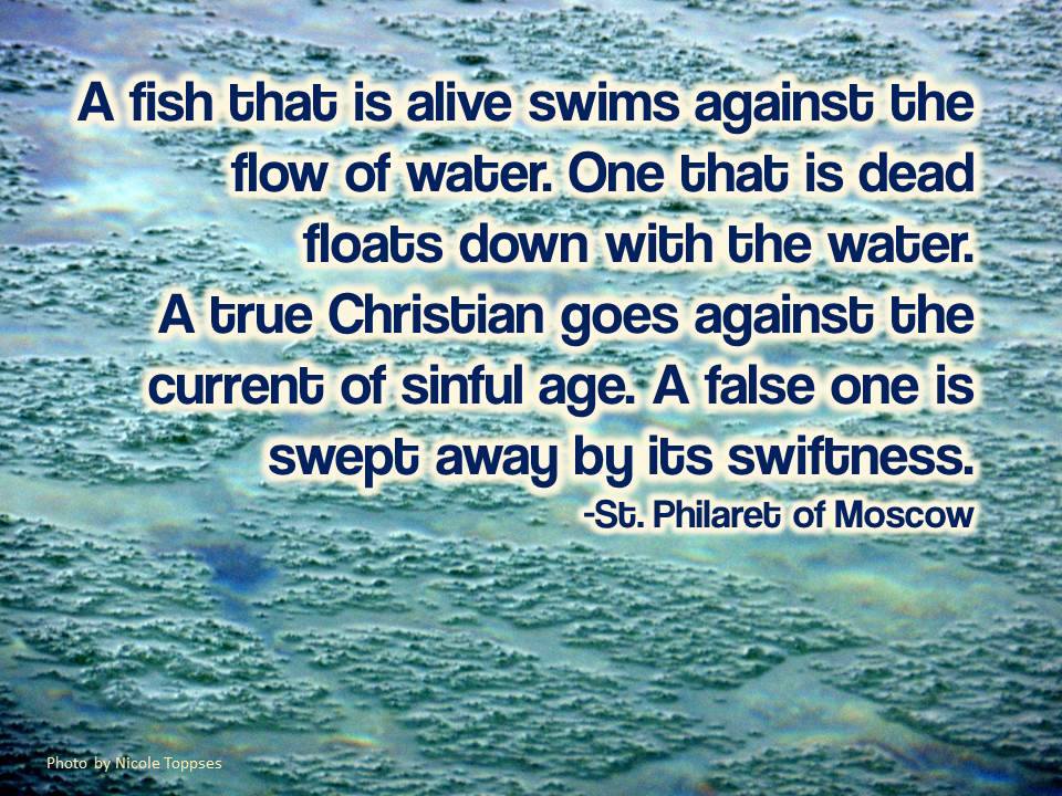 StGregoryMA's tweet photo. Are you an alive fish or a dead fish? https://t.co/dGE2OBgTd9