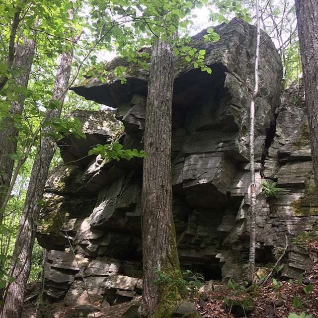 getcrushing's tweet photo. From @tomasar83 - Noen virkelig heftige linjer for den som er råsterk og vågal! #bouldering #rockclimbing #inthef https://t.co/7Bli1JjukR