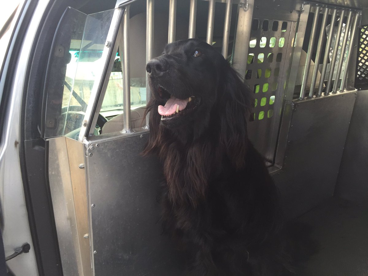 NiagRegPolice's tweet photo. Come say hi to Myrtle. #NRPSpoliceweek #safetyvillage Welland @WellandTribune https://t.co/LKvbZ30BFZ