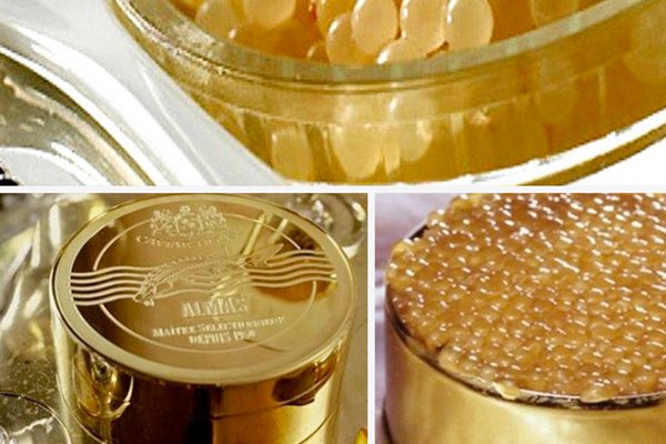 алмазная икра белуги альбиноса. алмас икра белуги-альбиноса. алмас икра белуги-альбиноса. алмазная икра белуги альбиноса. золотая икра белуги альбиноса.