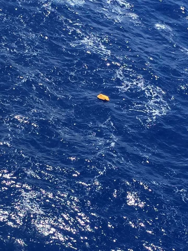 View image on Twitter