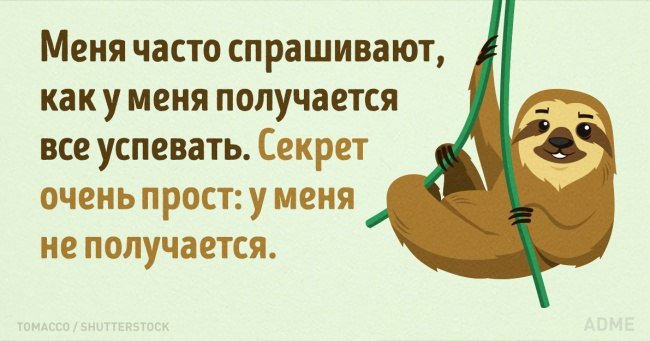 Это все что я успела сделать. Бинго 2019. Это все что я успела сделать. Как ты все успеваешь. Ничего не успеваю юмор.