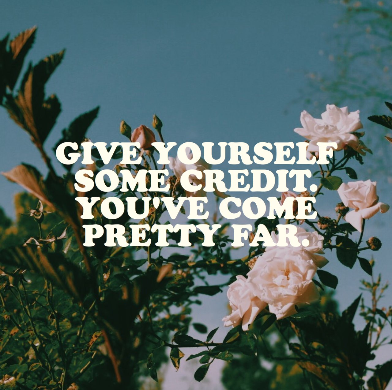 Soledad Francis PhD on Twitter "Good morning Beautiful Souls. Sending