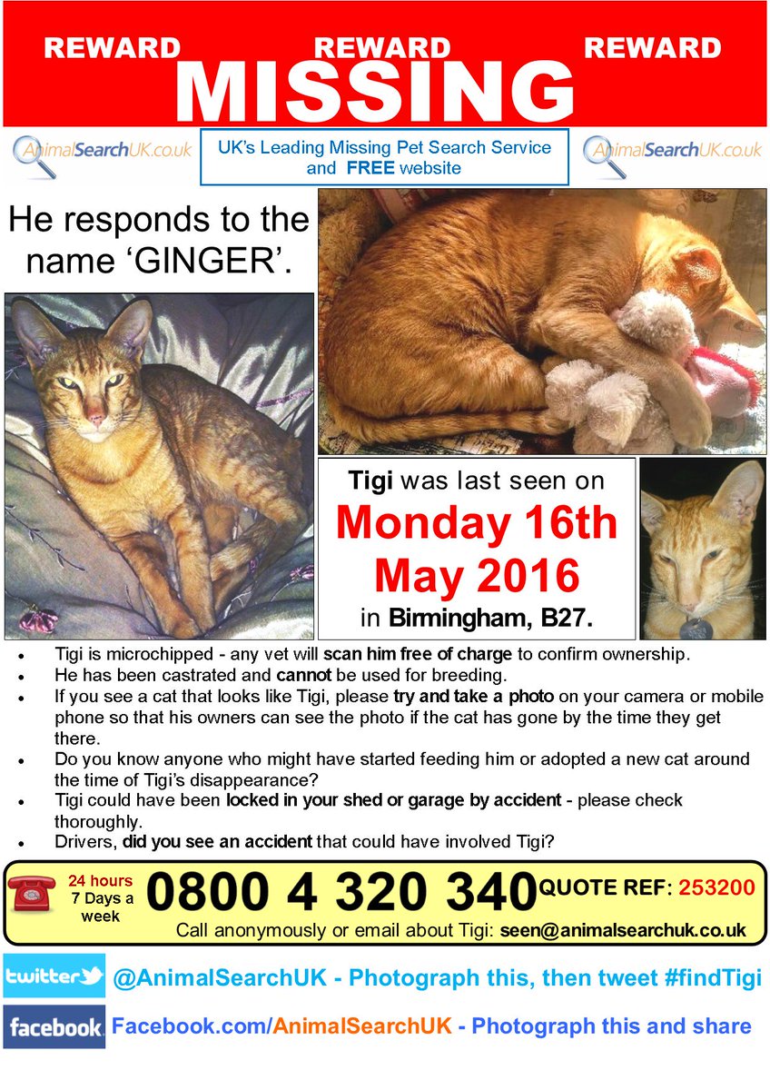 PLZ RT <a href="/BirminghamCP/">Bham Cats Protection</a> <a href="/RSPCABirmingham/">RSPCA Birmingham</a> #missingcat #birmingham #B27
#findtigi
animalsearchuk.co.uk/find-lost-pets…