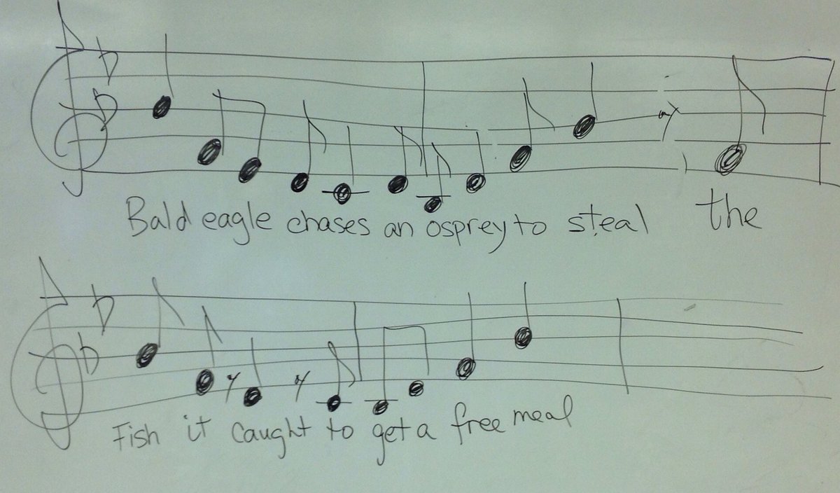 Cport_First's tweet image. Did you know music has a shape?! #AndrésClass #SongWriting