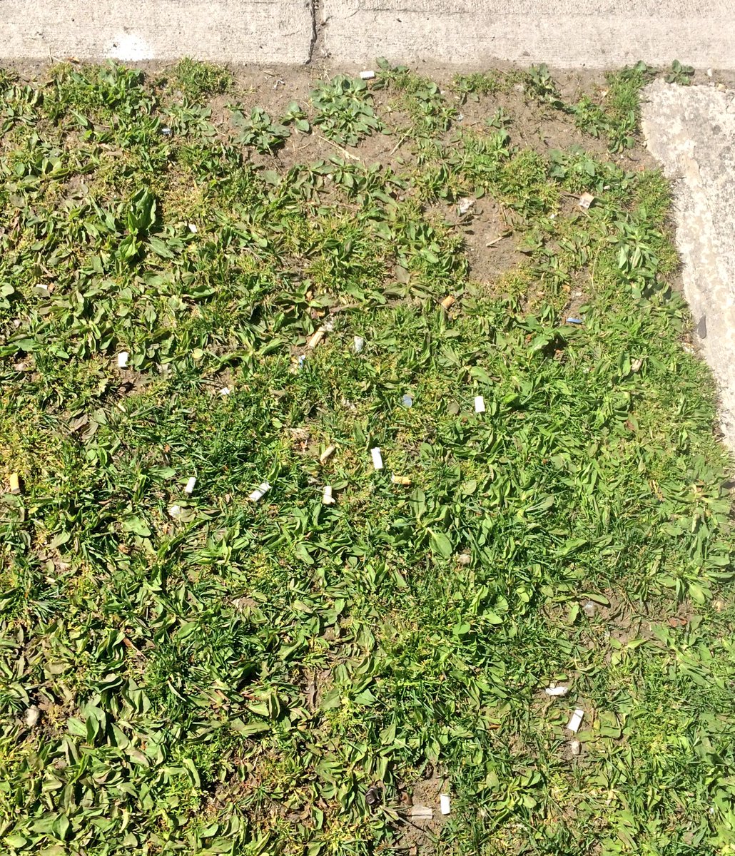 BAEarthCitizen's tweet image. Smoke if you want...just don&apos;t blow it in my face &amp;amp; then throw it on the ground. #garbageisrightthere #basicrespect