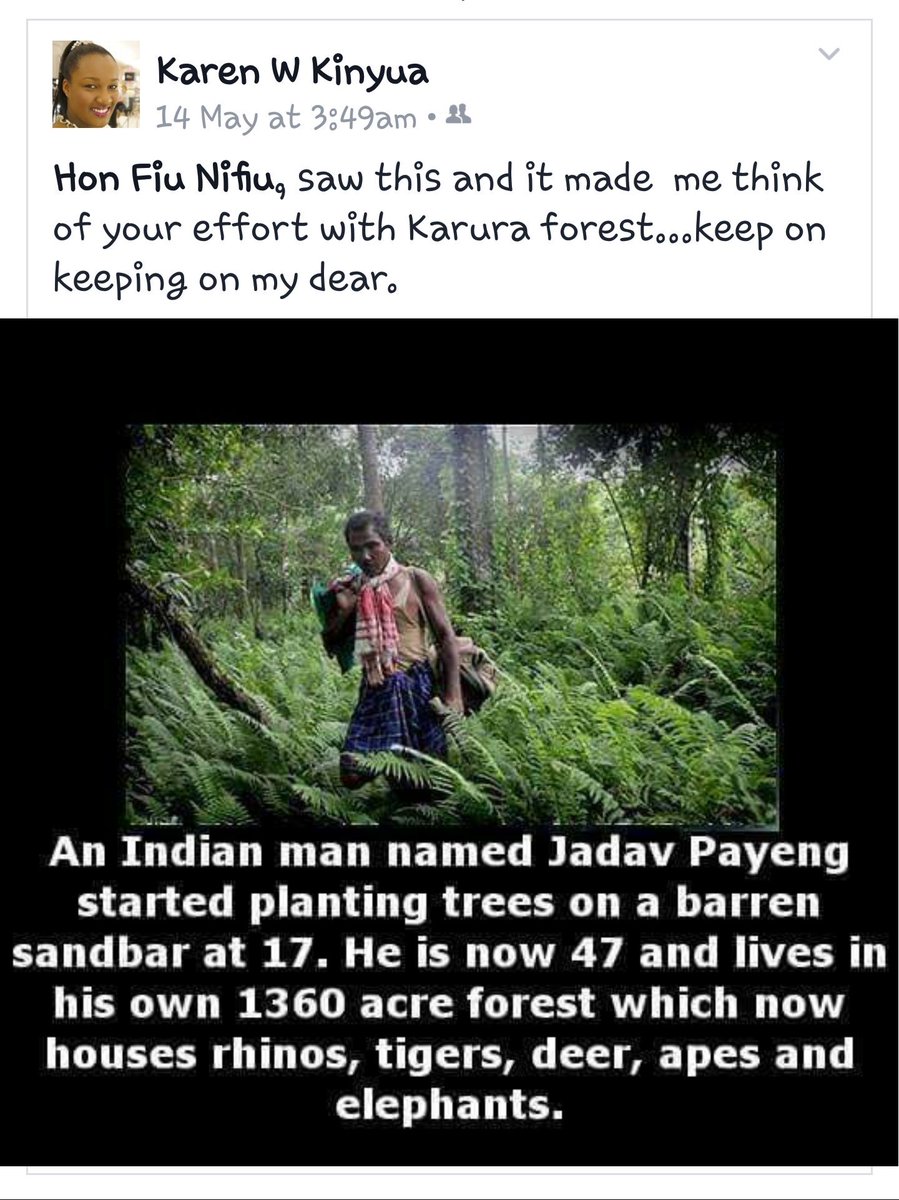Karura Karura tweet media