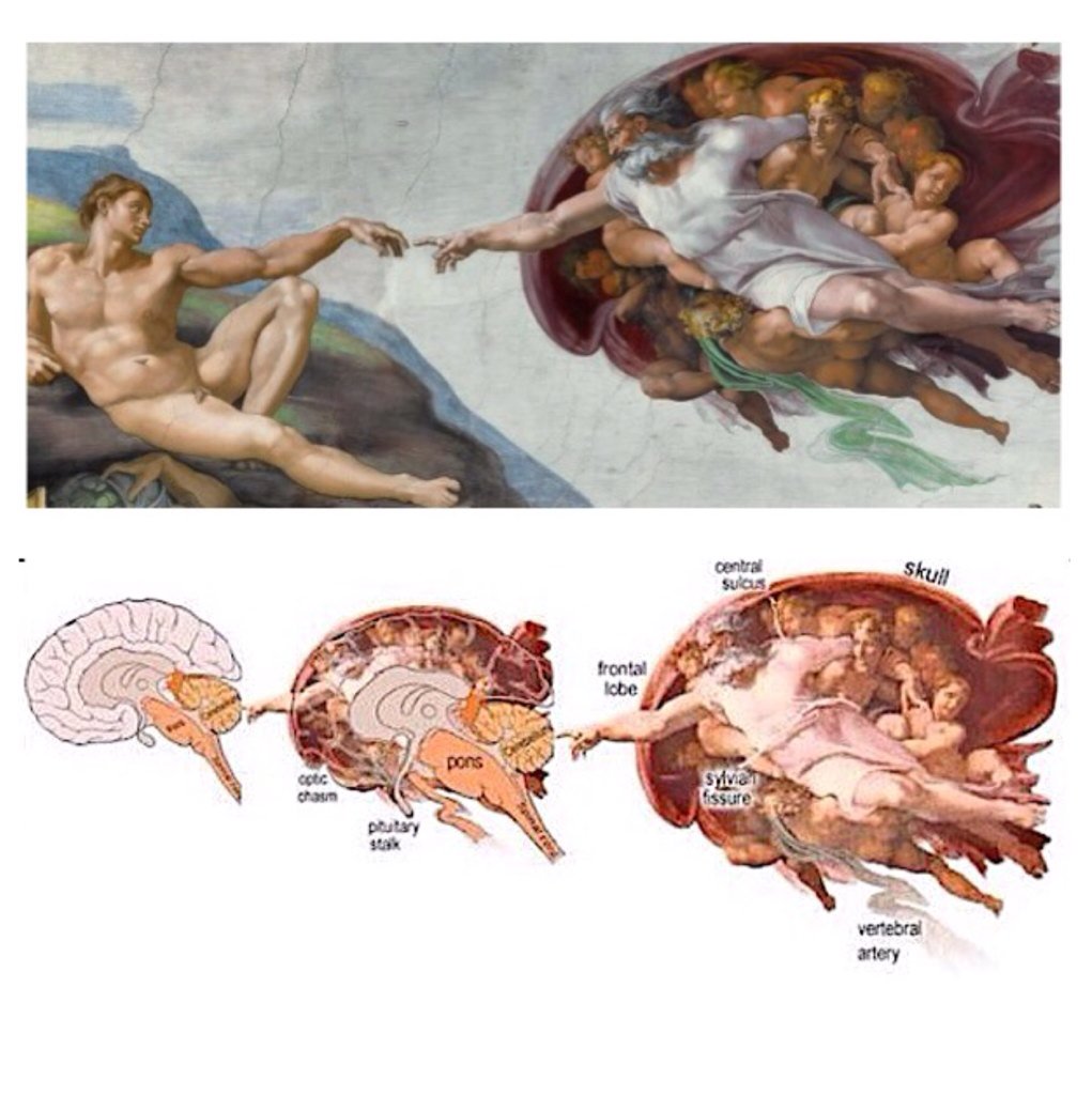 Creation Of Adam Human Brain Stained Glass Ideas