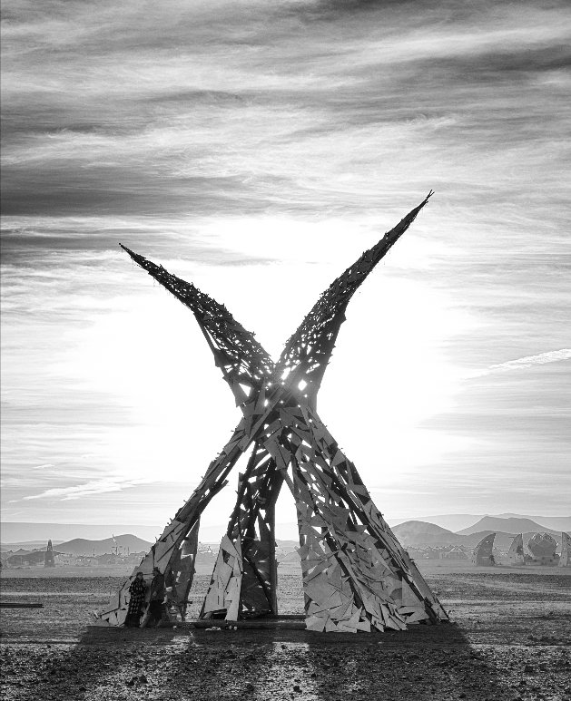 Freddie du Plessis tweet media