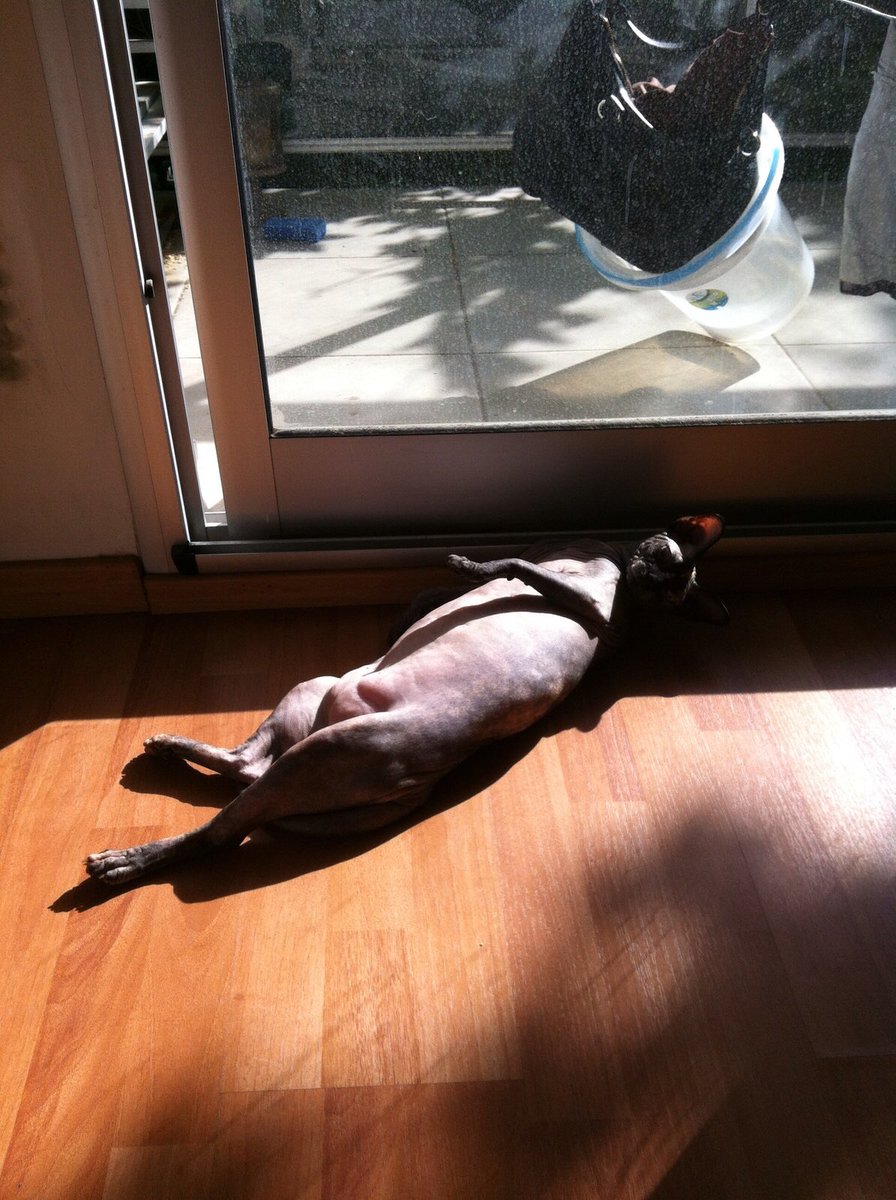 Nacho Harriague On Twitter Found Her Lying Naked In The Sun