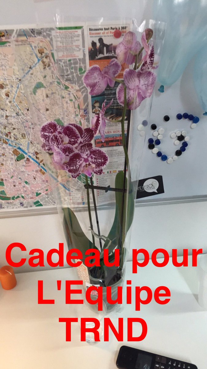 PriincessWihem's tweet photo. @trndCompany_FR #bdaytrnd https://t.co/XZJIQiADQj