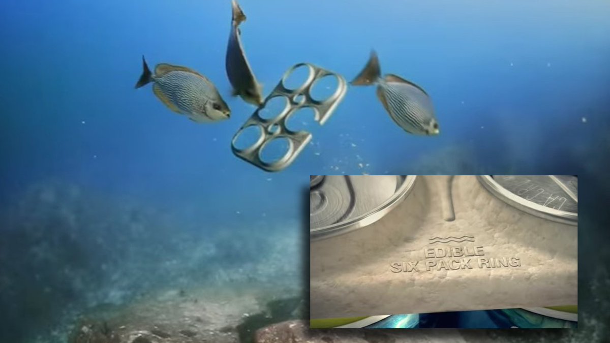 S. Fla. brewery creates edible six-pack rings to protect wildlife in the ocean bit.ly/1WEGg4k?utm_me… https://t.co/ZlYijSLSpp