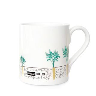 GreatFoodBrit's tweet photo. Time for a cuppa! #NationalVegetarianWeek https://t.co/wQpINGrhhT @lahlastudio #carrots #mug #vegetables #gardening https://t.co/goIbTjXLCS
