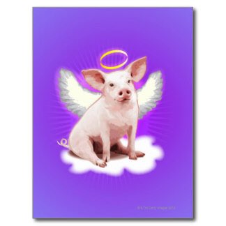 percivalsizzle's tweet photo. RIP https://t.co/a5z5ZleF83