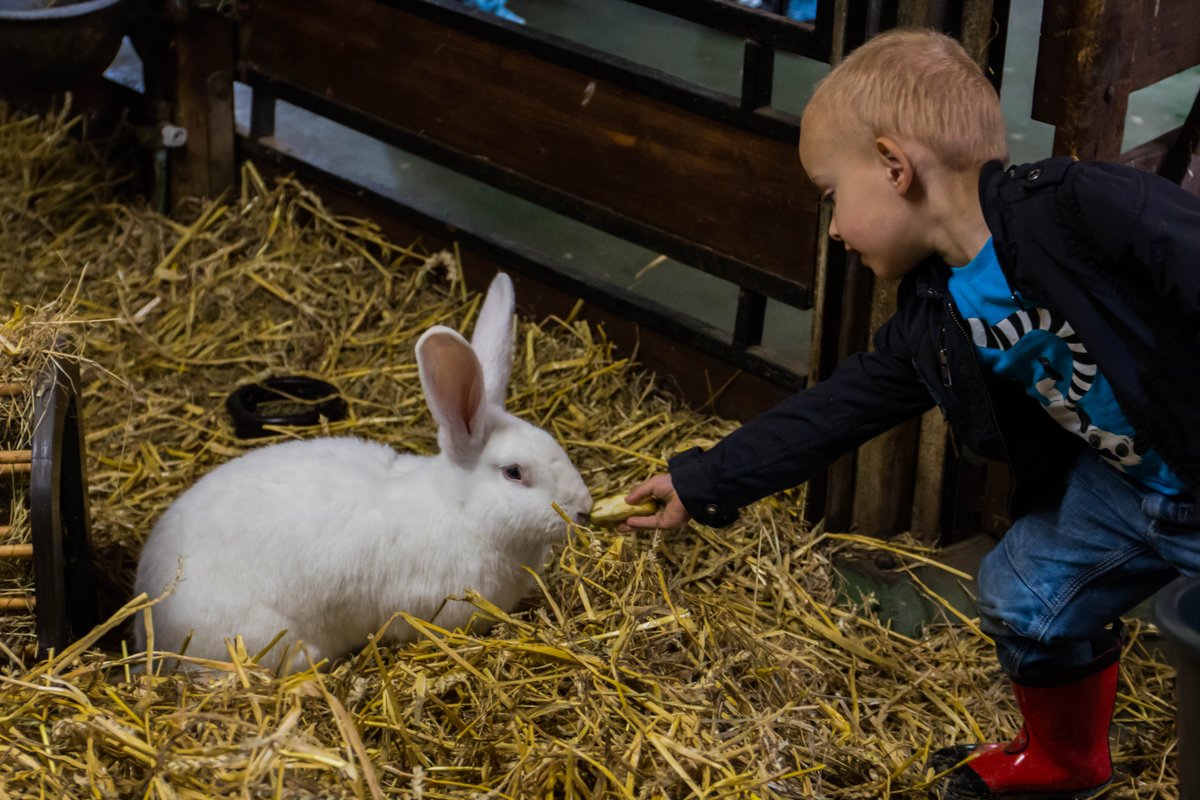 Morgen een speciale peuters in het wild in #Boxtel op de #kinderboerderij! opgeven kan nog! natuurpret.nl/boxtel