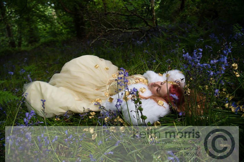 KeithMorrisAber's tweet image. When not shooting #weather for @AlamyNews i do something #completelydifferent #redhead #forest © @KeithMorrisAber