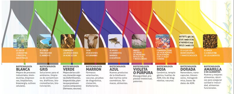 Biotecnología UPP on Twitter "Estudia en UPPachuca Ing