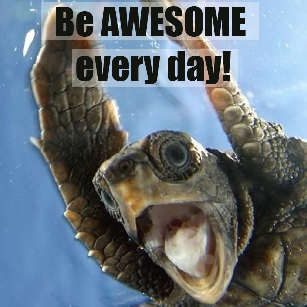 Want an AWESOME income? Learn how to be effective with online marketing techniques here  bit.ly/21kz5Ng