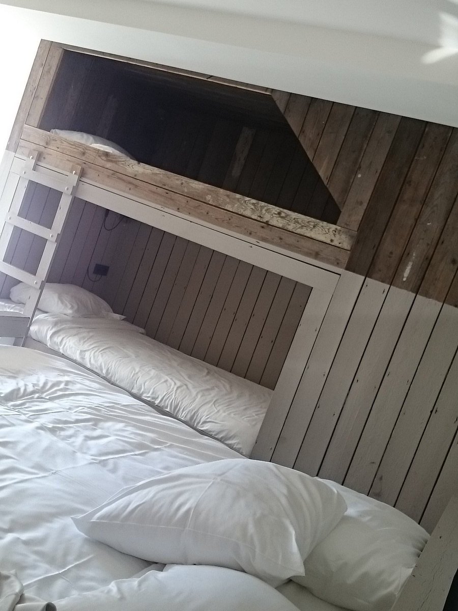 Felice van Zanten tweet media