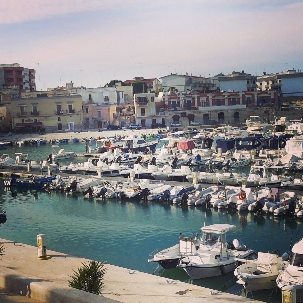 InfoPugliando's tweet photo. La straordinaria bellezza del porto di #Bisceglie. #Pugliando #WeareinPUGLIA #Puglia #visitPuglia #Puglialovers https://t.co/boNw9gZsZs