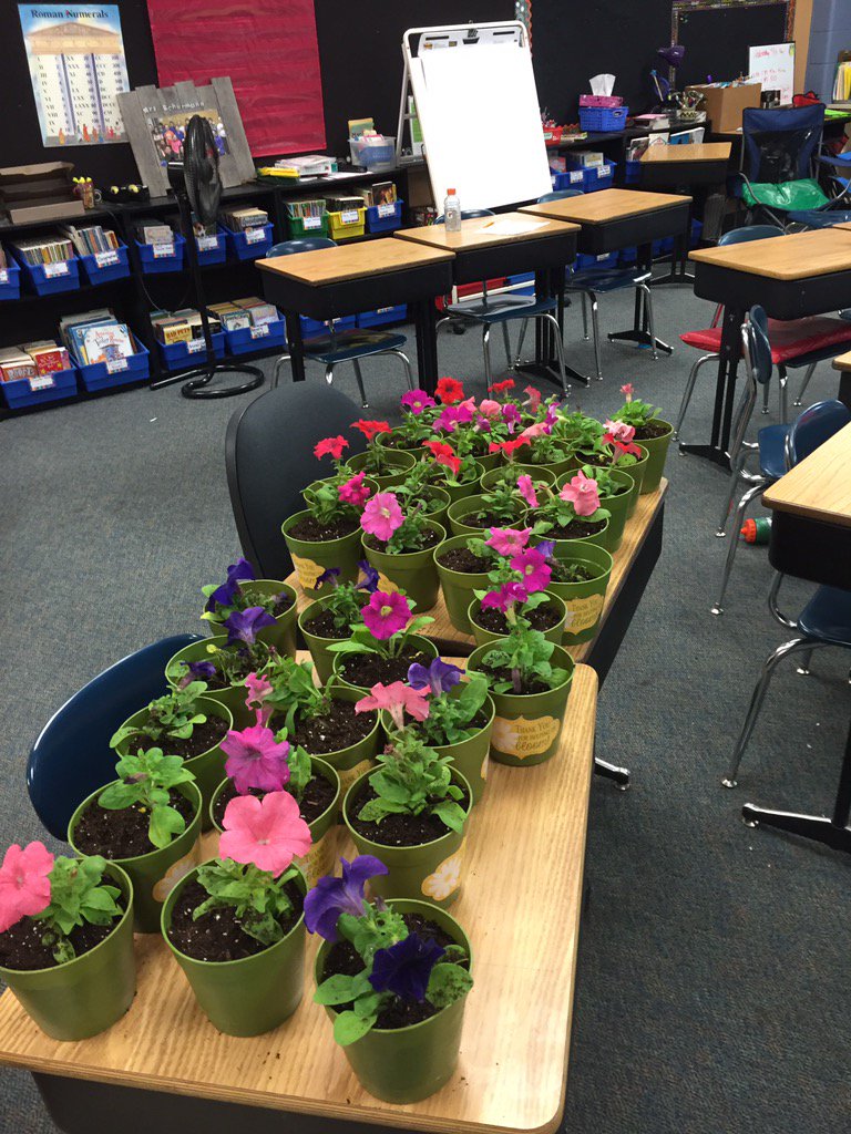 tschermann94's tweet photo. These girls amaze me! They helped me make the pots and plant the flowers for our mentor program gifts. 😃🌺🌸🌼🌷😃 https://t.co/wXgjJoPWJe
