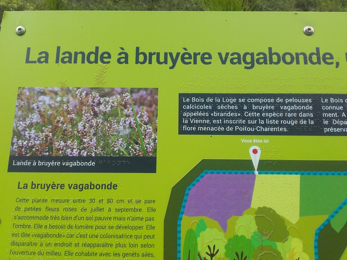 chasse86's tweet photo. Cette semaine la Fédération organise des Animations Natures au Bois de la Loge avec les écoles du secteur. https://t.co/Aq1W7oYkGc