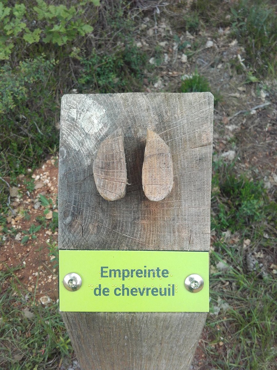 chasse86's tweet photo. Cette semaine la Fédération organise des Animations Natures au Bois de la Loge avec les écoles du secteur. https://t.co/Aq1W7oYkGc
