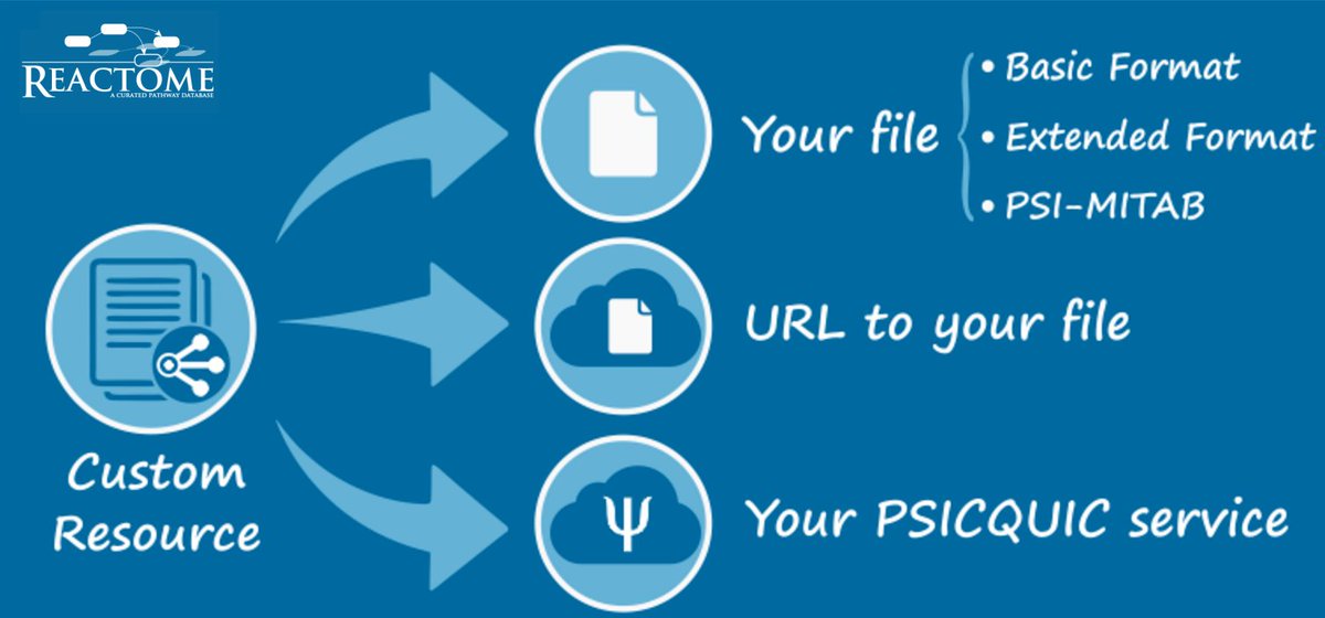 reactome's tweet image. Try our new #DiagramJS widget incl. @intact_project and custom data goo.gl/lyfi7i #javascript #usereactome