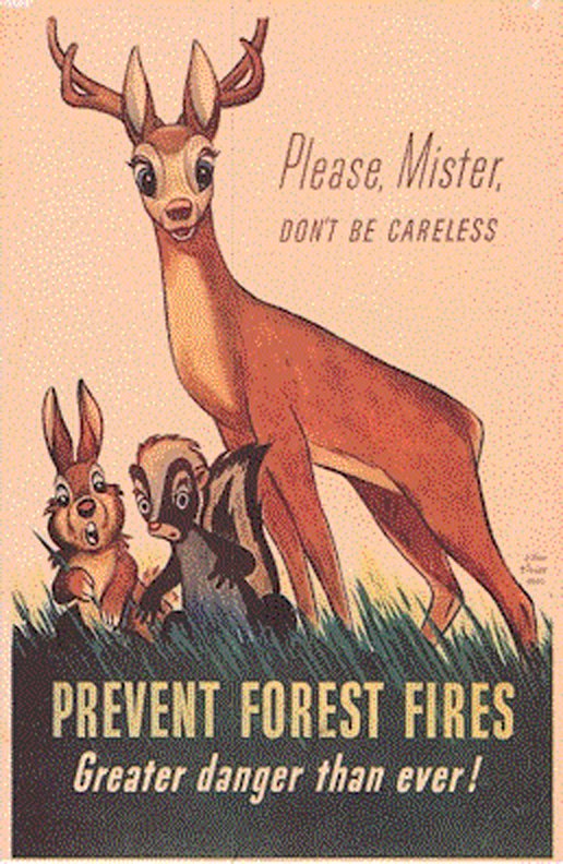 BCGovNews's tweet image. #BC's forest are dry. Be responsible with campfires &amp;amp; cigarettes, www2.gov.bc.ca/gov/content/sa… #ThrowbackThursday #tbt