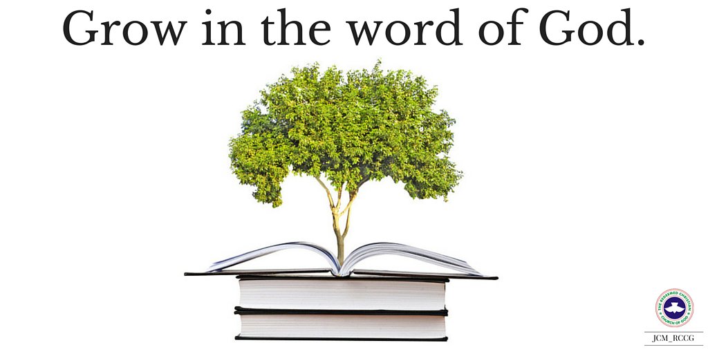 Jcm_rccg's tweet photo. Stay rooted in the word of God.
His word is like a seed (Luke 8:11)
#JCMBites #newgraceandglory #spring #plant https://t.co/NjC6xkdq84