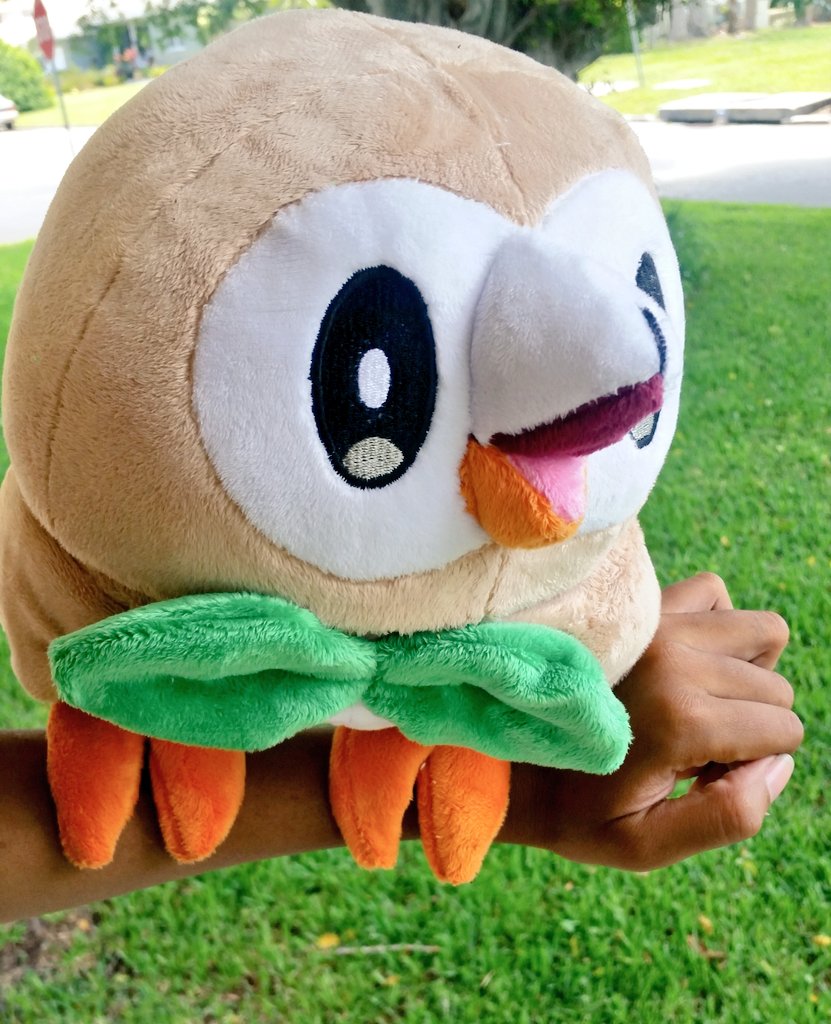 A WILD ROWLET. retweet for a chance to own this guy 4 f r e e.☆ winner pick in 24 hours ((I will ship worldwide*))
