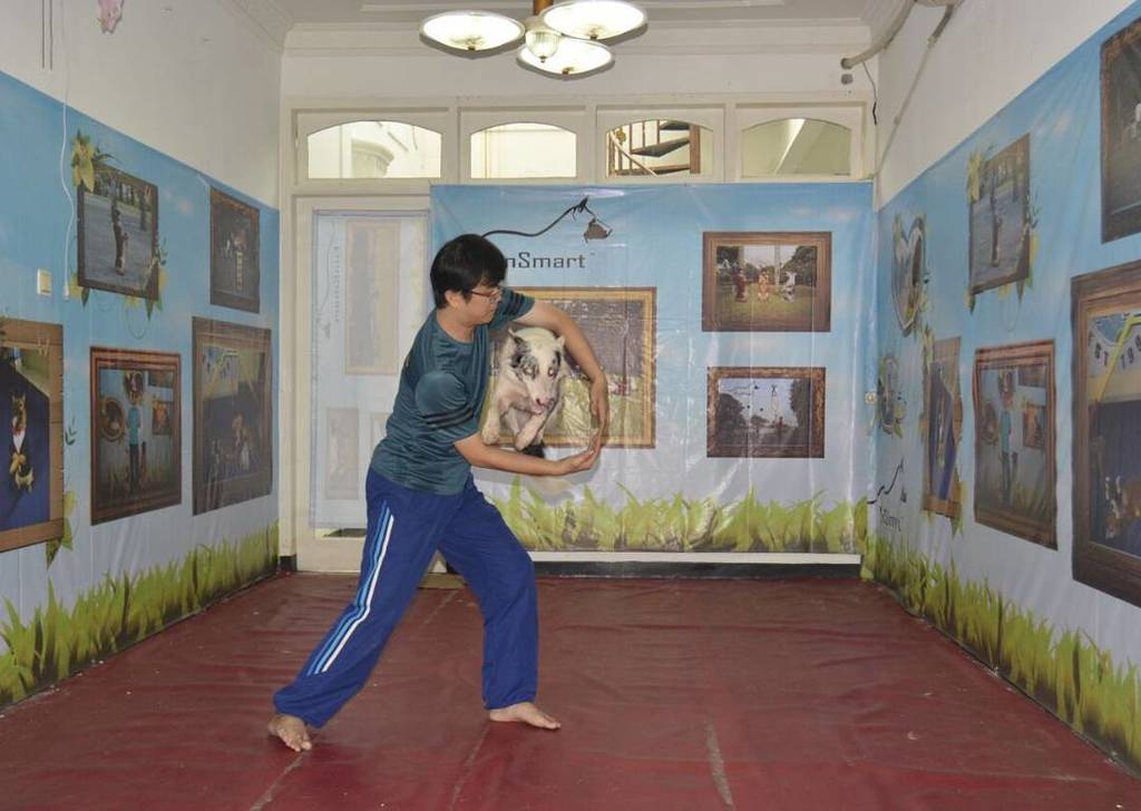 Cinemanimo1's tweet image. ift.tt/1UOIcTu Flying Queen
#bordercollie #fundog #funsmart #flying #flyingqueen #dogschool #lovedogs #pe…