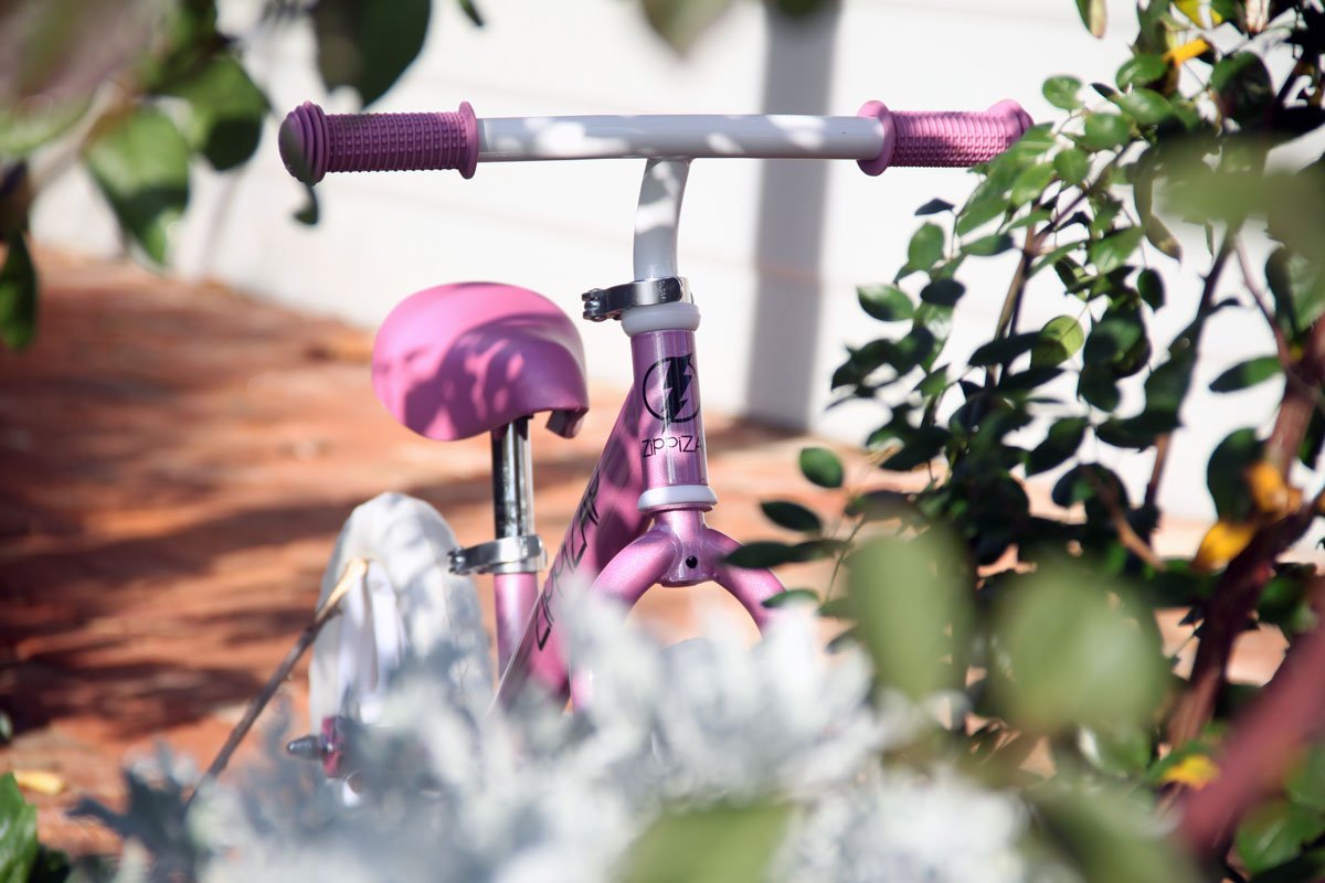 Zippizap_uk's tweet image. Whats that Beautiful Butterfly hiding among the flowers?