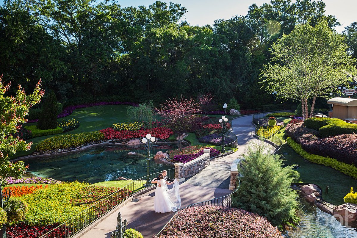 RootPhotography's tweet photo. Such a beautiful #Epcot Canada #wedding last week. Katharina and Erhard light up the blog! https://t.co/Bva7xbC0j0 https://t.co/ziPvgGNUGg