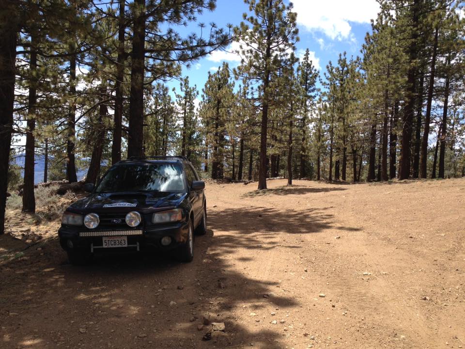 NASARallySport's tweet photo. Back in the woods of Southern California this weekend for an all NEW #Rallysprint! @FrazierMtRally #FMR16 #usrally https://t.co/bO9RkLyevA