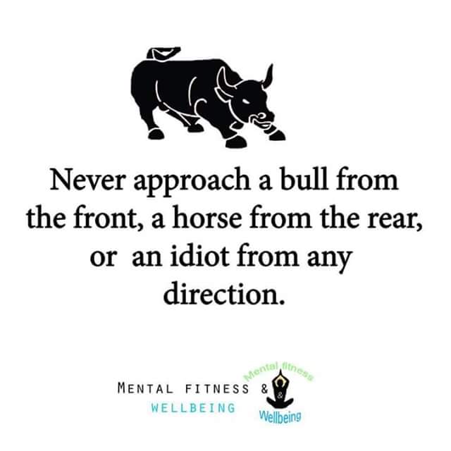 Carolina Deltoro (@caroldeltorot) on Twitter photo 