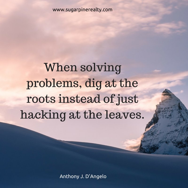 Anthony J. D'Angelo Quote: “When solving problems, dig at the