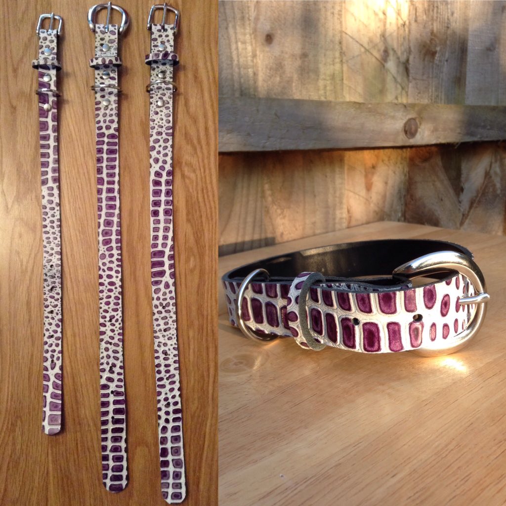 JewelleryBruce's tweet photo. Don't let your dog be a sheep Let her be Youneek 😀#dogcoller #celebritydogs #leatherdogcollar #dogsoftwitter #dogs https://t.co/eWxUGhQkWE